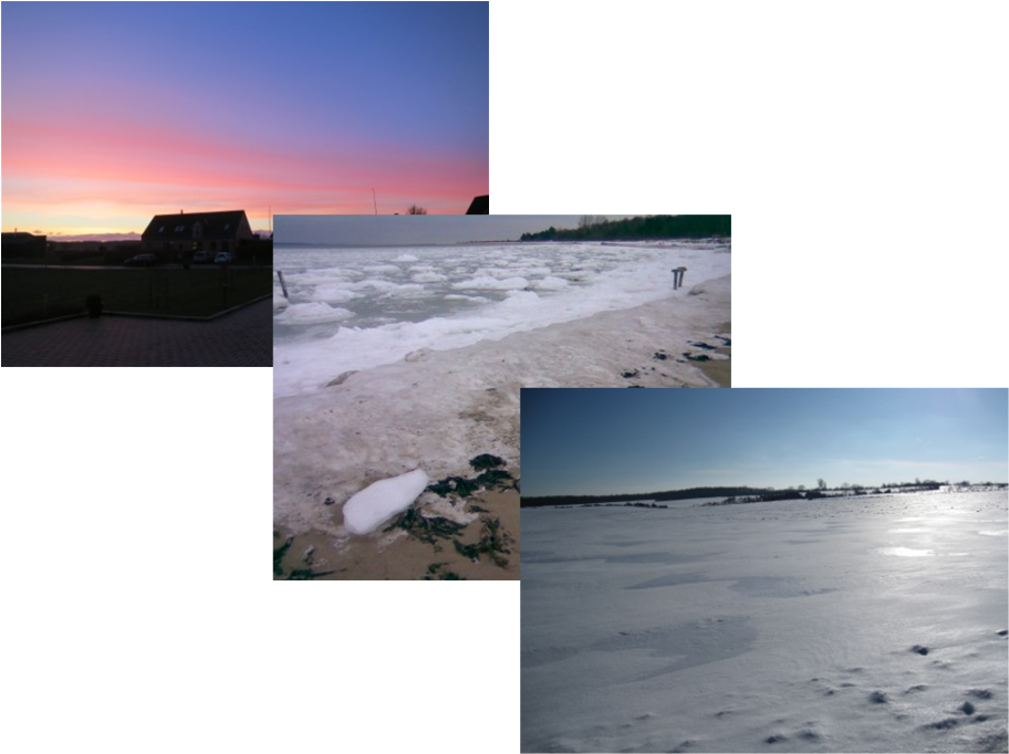 Treien vinter
